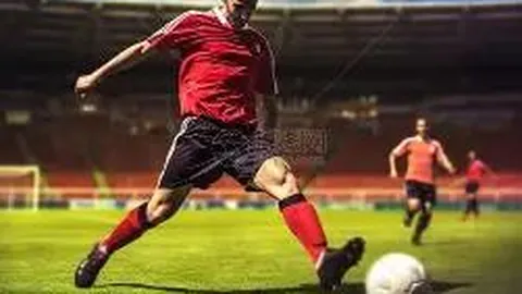 TP钱包全面解读：新手至专家，技术与实战全方位指南